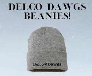 DelCo Dawgs Beanie Fundraiser - Personalization, pickup